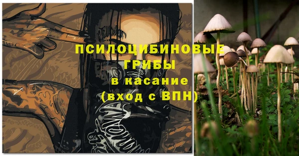 бутират Алзамай