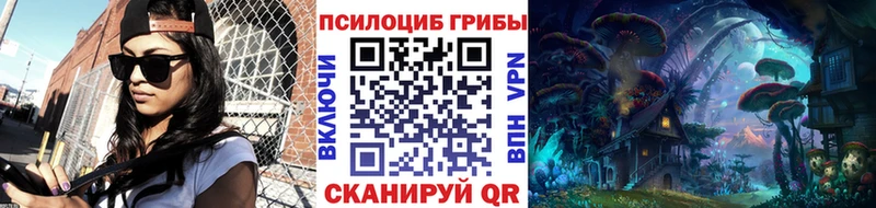 где продают наркотики  shop наркотические препараты  Псилоцибиновые грибы Psilocybe  Алексеевка 